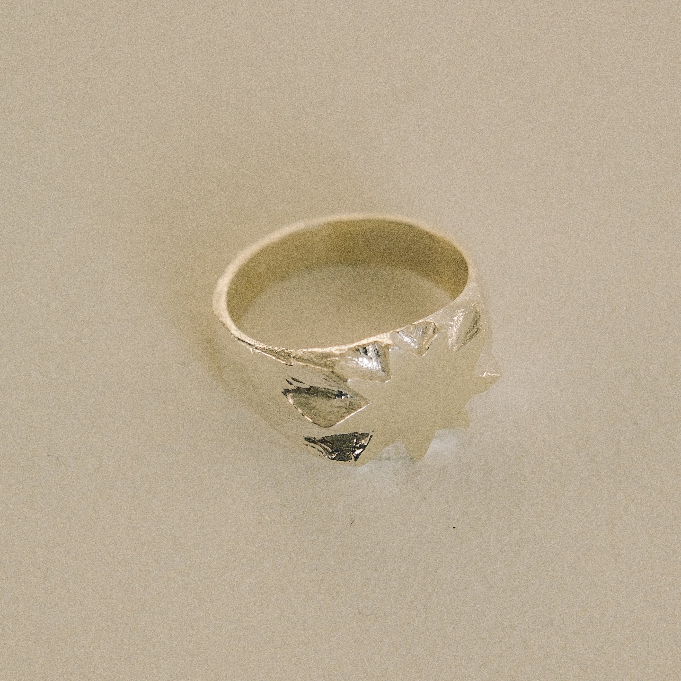 Sygnet Form 02